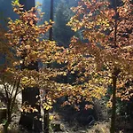 Boulder Ridge